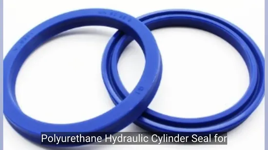 High-Quality Seal Ring Qy-D Cylinder Shaft Seal Ring